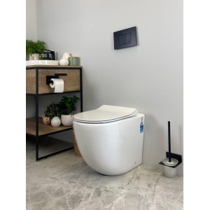 Raul 99 Rimless Floor-mount Toilet Pan Only